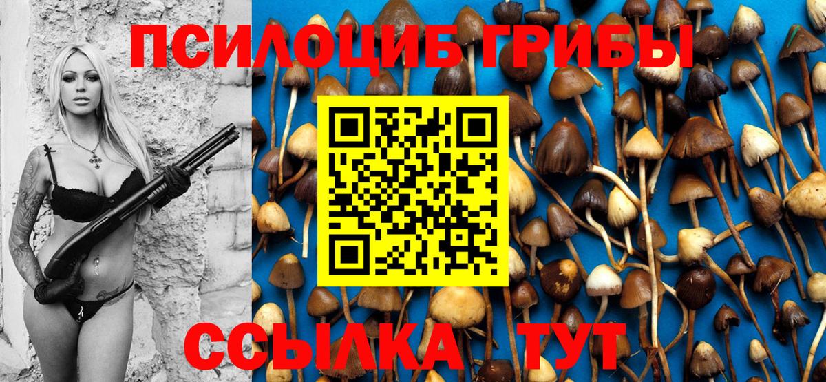 Галлюциногенные грибы ЛСД Великий Устюг