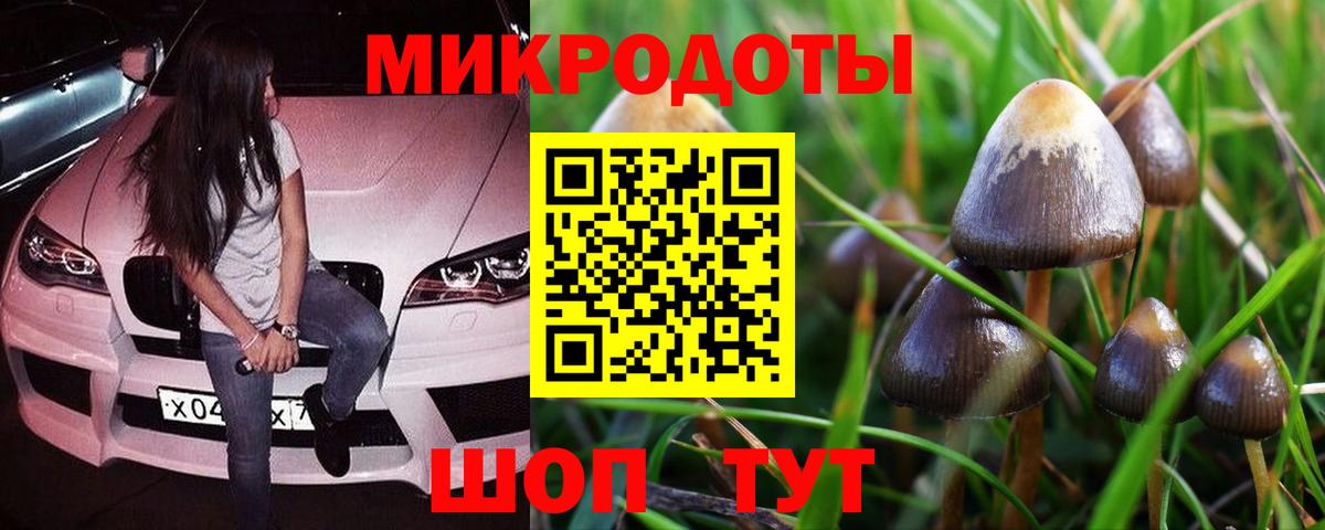 Псилоцибиновые грибы Magic Shrooms  Галлюциногенные грибы прущие грибы  Великий Устюг  Вход с VPN 